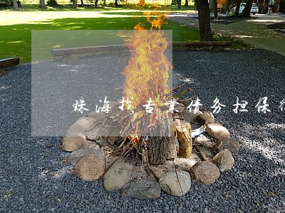珠海找专业债务担保律师团队 珠海找专业债务担保律师团队