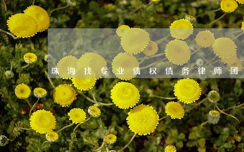 珠海找专业债权债务律师团队 珠海找专业债权债务律师团队
