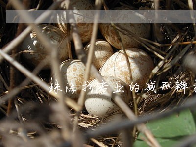 珠海找专业的减刑辩护律师 珠海找专业的减刑辩护律师