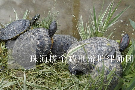 珠海找个减刑辩护律师团队 珠海找个减刑辩护律师团队