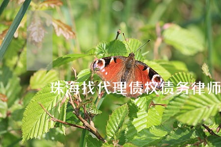 珠海找代理债权债务律师选谁 珠海找代理债权债务律师选谁