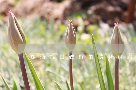 珠海找口碑好的债务纠纷律师选谁 珠海找口碑好的债务纠纷律师选谁