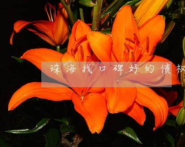 珠海找口碑好的债权债务律师选谁 珠海找口碑好的债权债务律师选谁