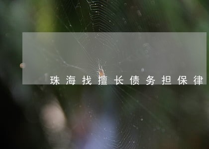 珠海找擅长债务担保律师团队 珠海找擅长债务担保律师团队