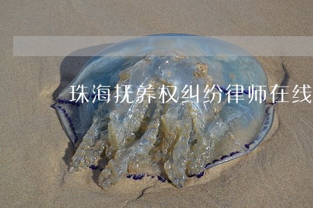 珠海抚养权纠纷律师在线咨询 珠海抚养权纠纷律师在线咨询