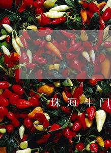 珠海斗门八甲违法事故停车场