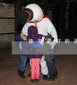 珠海最好的离婚律师 珠海最好的离婚律师