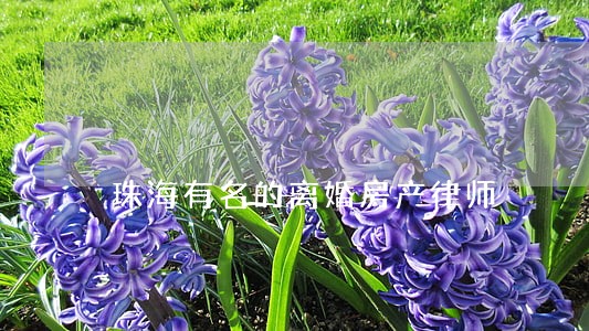 珠海有名的离婚房产律师 珠海有名的离婚房产律师