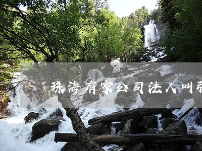 珠海有家公司法人叫弘志勇