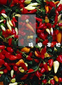 珠海本地减刑辩护律师 珠海本地减刑辩护律师