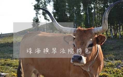 珠海横琴法院特色