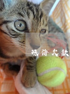 珠海欠款逾期咨询