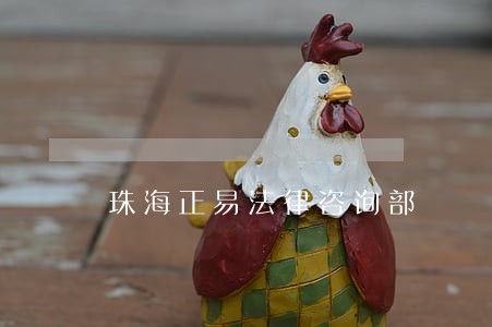 珠海正易法律咨询部