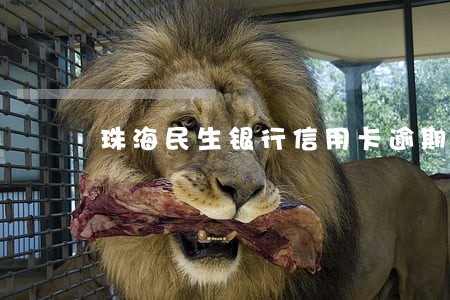 珠海民生银行信用卡逾期 珠海民生银行信用卡逾期