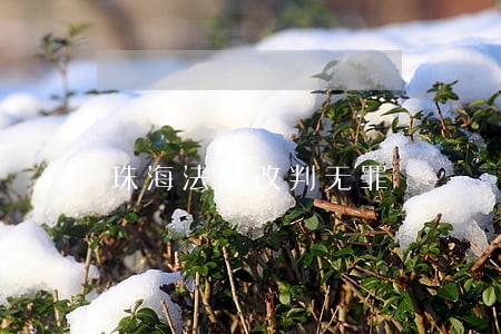 珠海法院改判无罪 珠海法院改判无罪