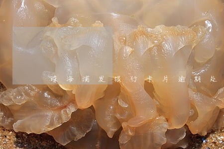 珠海浦发银行卡片逾期处理方法 珠海浦发银行卡片逾期处理方法
