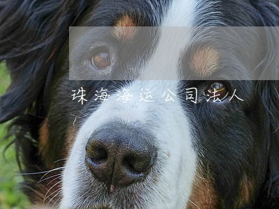 珠海海运公司法人