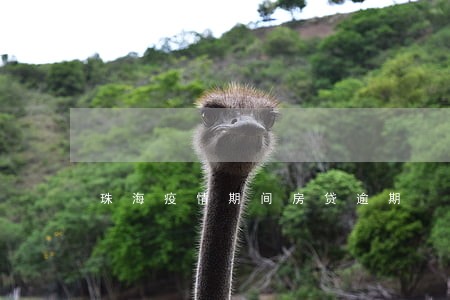 珠海疫情期间房贷逾期 珠海疫情期间房贷逾期