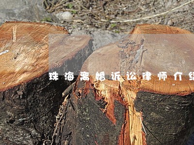 珠海离婚诉讼律师介绍 珠海离婚诉讼律师介绍