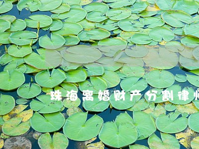 珠海离婚财产分割律师哪里找 珠海离婚财产分割律师哪里找