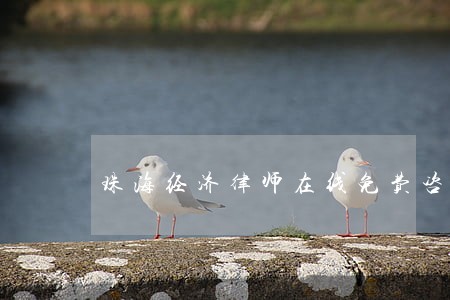 珠海经济律师在线免费咨询 珠海经济律师在线免费咨询