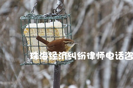 珠海经济纠纷律师电话咨询 珠海经济纠纷律师电话咨询