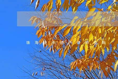 珠海继承遗产律师咨询 珠海继承遗产律师咨询