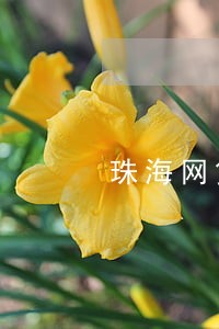 珠海网贷逾期停息分期申请条件 珠海网贷逾期停息分期申请条件