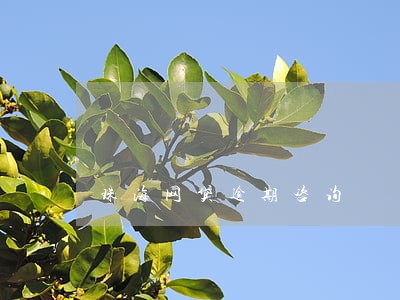 珠海网贷逾期咨询 珠海网贷逾期咨询