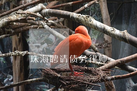 珠海聘请债务律师 珠海聘请债务律师
