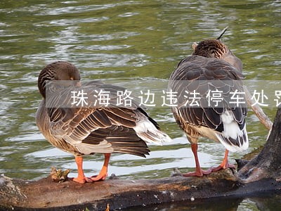 珠海路边违法停车处罚规定 珠海路边违法停车处罚规定