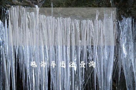 珠海车违法查询