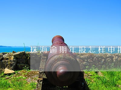 珠海逾期年报怎样申报 珠海逾期年报怎样申报