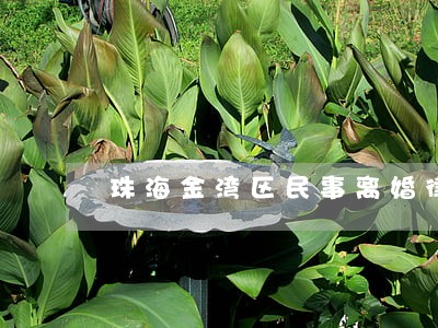 珠海金湾区民事离婚律师 珠海金湾区民事离婚律师