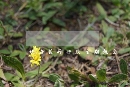 珠海银行借款逾期概念 珠海银行借款逾期概念