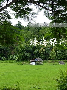 珠海银行逾期处理方案 珠海银行逾期处理方案