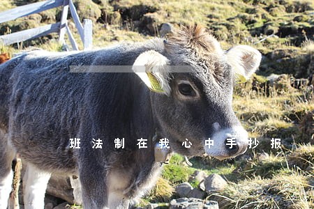 班法制在我心中手抄报 班法制在我心中手抄报