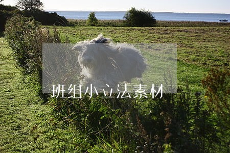 班组小立法素材 班组小立法素材
