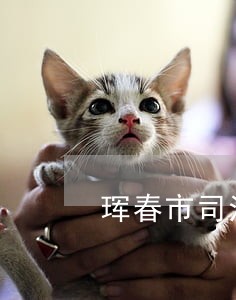 珲春市司法局号码 珲春市司法局号码