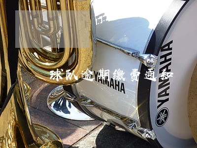 球队逾期缴费通知 球队逾期缴费通知