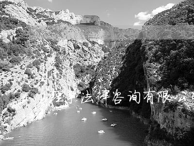 理争法律咨询有限公司 理争法律咨询有限公司