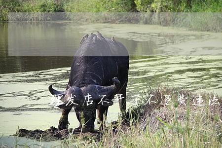 理发店不开了不退费违法么 理发店不开了不退费违法么