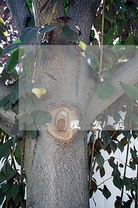 理发店充值违法吗 理发店充值违法吗