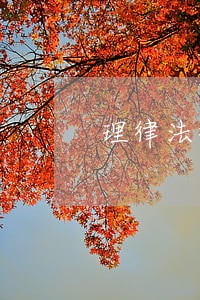 理律法律咨询有限公司 理律法律咨询有限公司