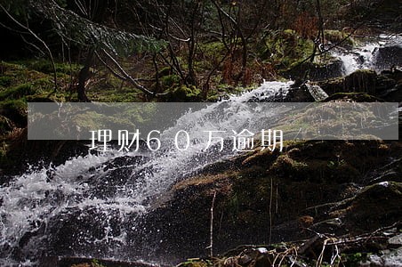理财60万逾期 理财60万逾期