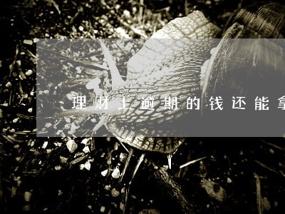 理财上逾期的钱还能拿回吗 理财上逾期的钱还能拿回吗