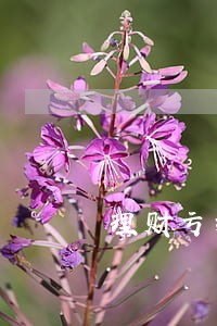 理财亏损法院判决银行赔偿 理财亏损法院判决银行赔偿