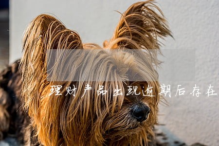 理财产品出现逾期后存在的问题 理财产品出现逾期后存在的问题