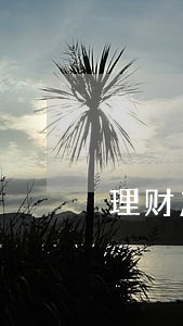 理财产品到期逾期 理财产品到期逾期