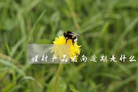 理财产品定向逾期是什么意思